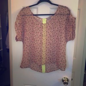 Charlotte Russe sheer top 😊
